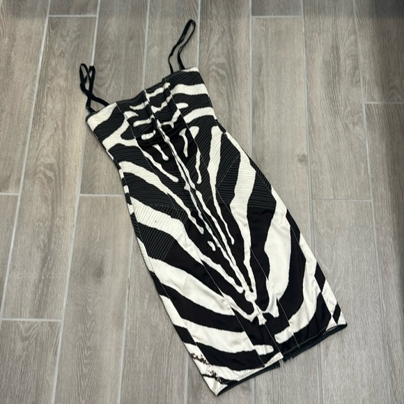 Dolce And Gabbana Zebra Dress - Picture 1 of 4